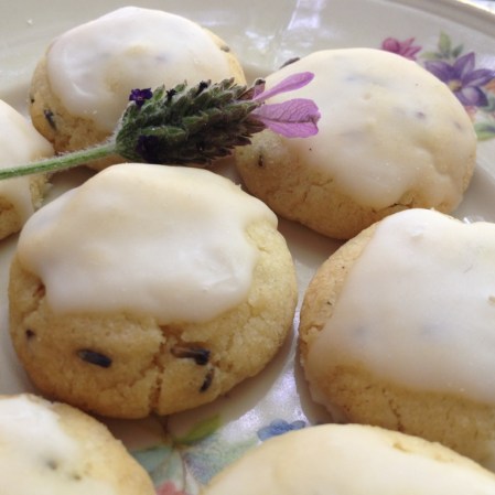 Lavender Dreams_Close-up II