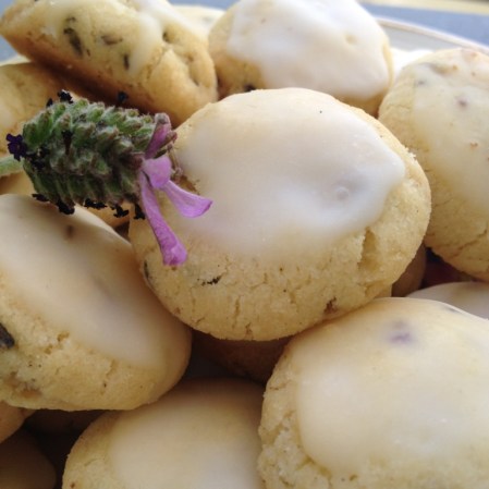 Lavender Dreams_Close-up