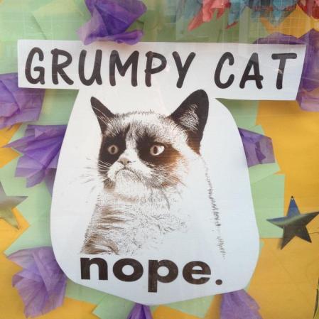 Grumpy Cat