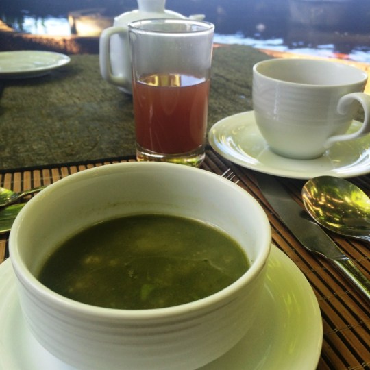 Green Soup