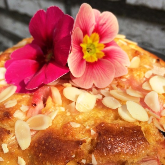 Polentakuchen_Close-up